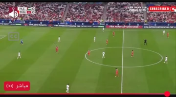 شغالة الان.. بث مباشر لمباراة تونس وفلسطين في كأس العرب بدون تقطيع.. جودة فائقة